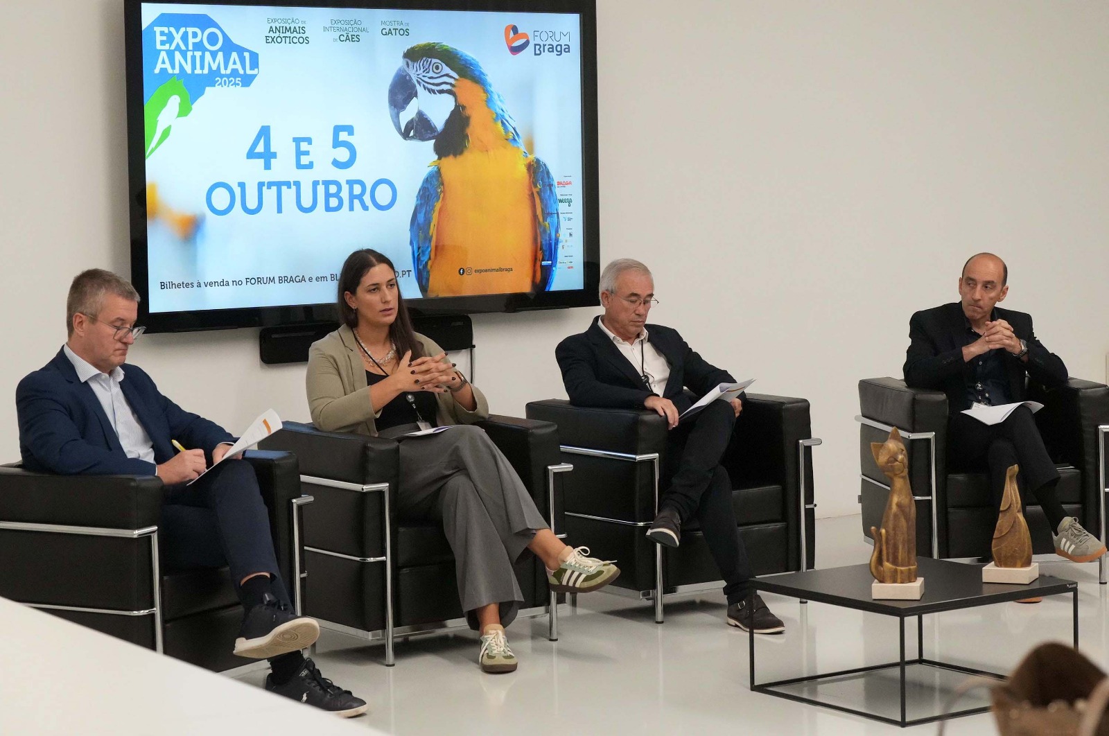 13.ª edição da Expo Animal traz cerca de 1.000 cães, uma mostra felina e atividades educativas para toda a família